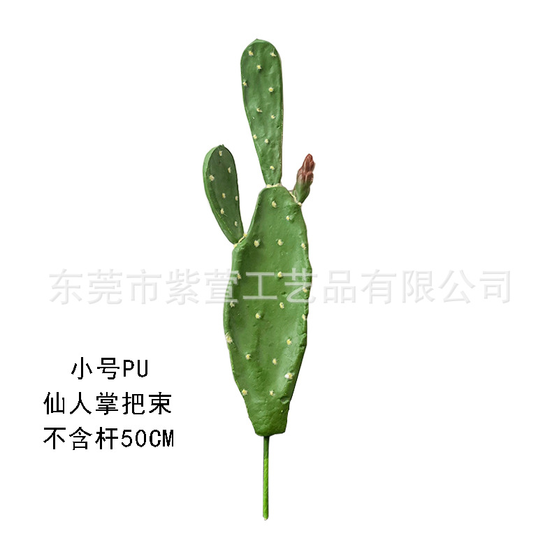 Paquete de mango de cactus pu pequeño-50 cm