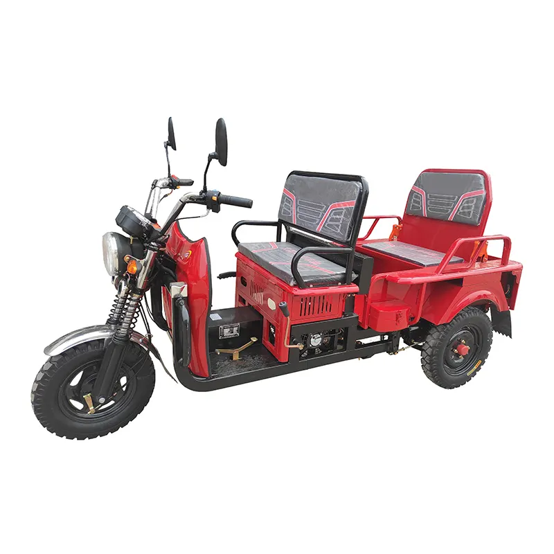Tricicli motorizzati all'ingrosso 125cc triciclo per adulti alimentato a Gas triciclo da carico a benzina per l'africa