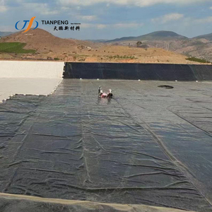 HDPE su ürünleri balık çiftliği gölet Liner yüksek kalite balık gölet projesi için HDPE geomembran balık tankı - Product Image 6