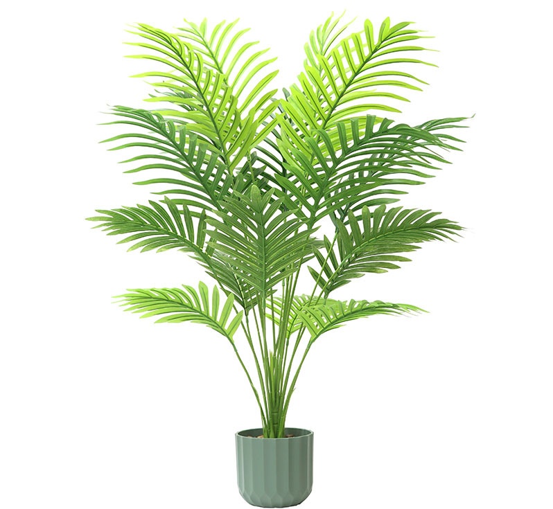Plantes vertes 3