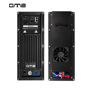PFA3001 260DAレシーバーおよびアンプ用アクティブスピーカーアンプモジュールK - Product Image 1