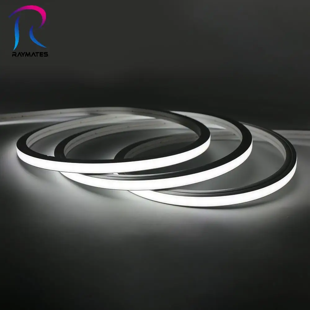 RAYMATES DC24V Silicone 100% 1010 striscia di luce al Neon IP67 esterno LED corda di colore bianco Neon Flex luce