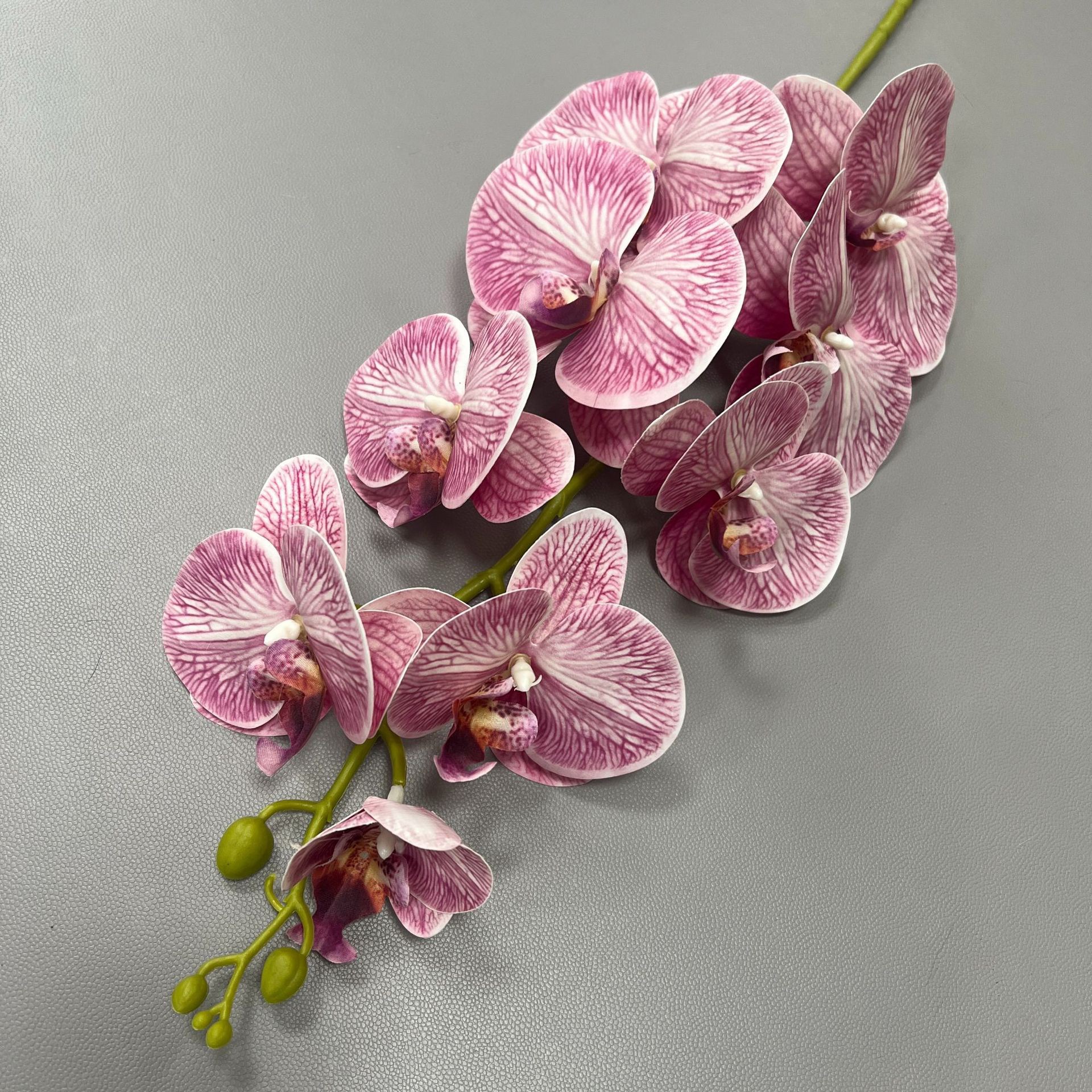 Phalaenopsis court 9 fourchettes printemps rose rouge