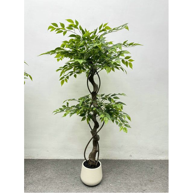 Vert 150 cm/5 pieds