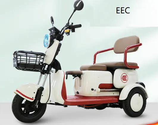 EEC COC barato 60vV1000W ITÁLIA ALEMÃO triciclo elétrico adulto e triciclo de carga