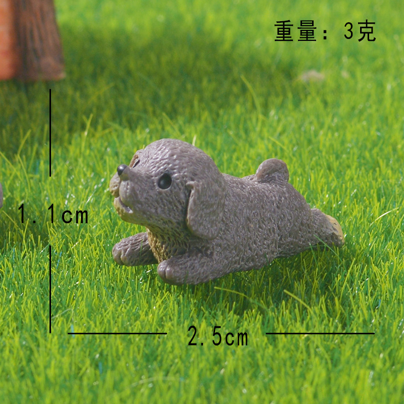 Mini petit