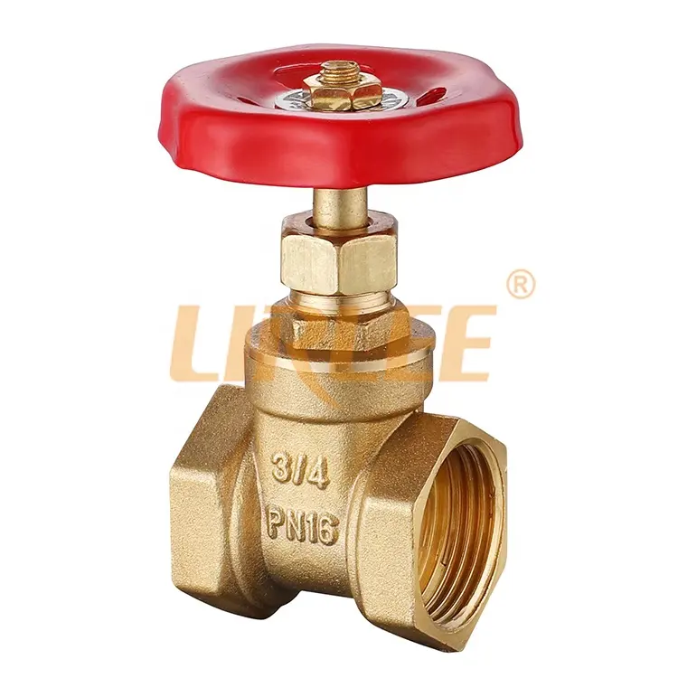 Cheap price water control valve durable iron valve brass body pn16 gate valve