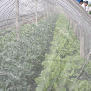 20 <strong>Mesh</strong> 3 square Meters Grape Buried Vine Net Custom Size Agricultural Breeding Net Orchard Insect-proof and Bird-proof HDPE