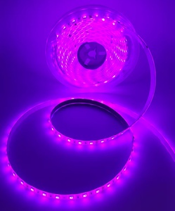 DC24V Remote Control Waterproof 5m 6m 60Leds/m <strong>Led</strong> Strip Lights for Decoration Commercial Lighting