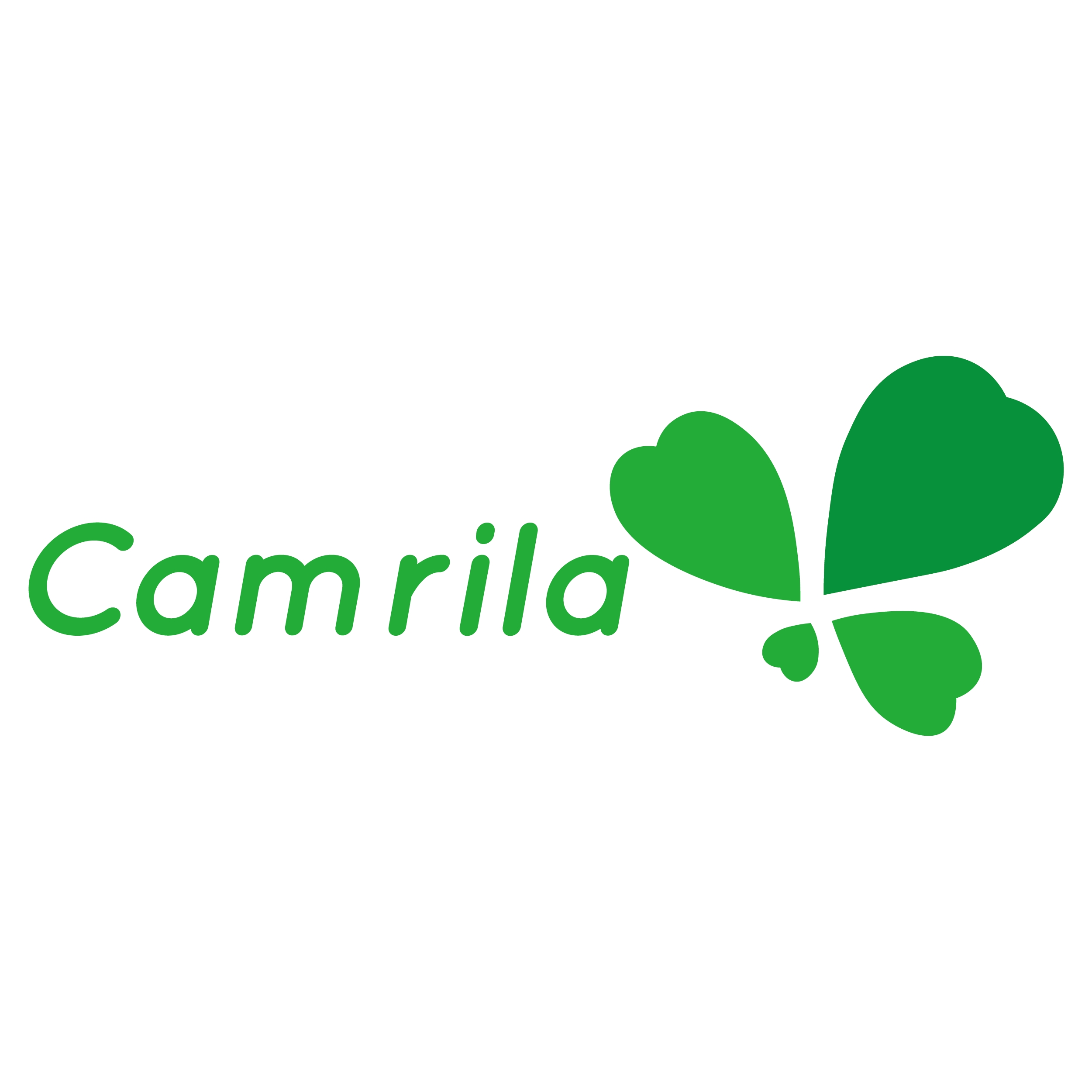 company logo