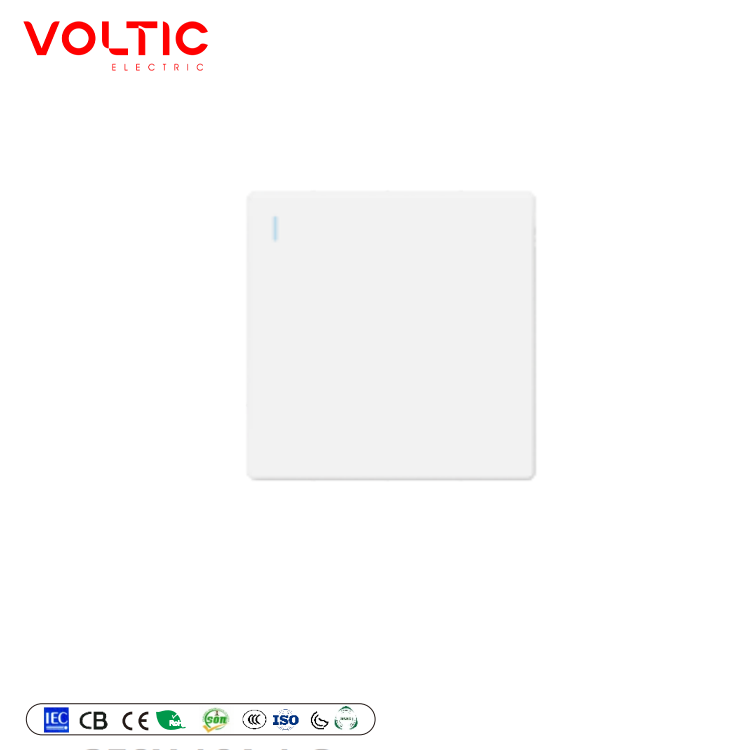 1 gang 2 way plate switch