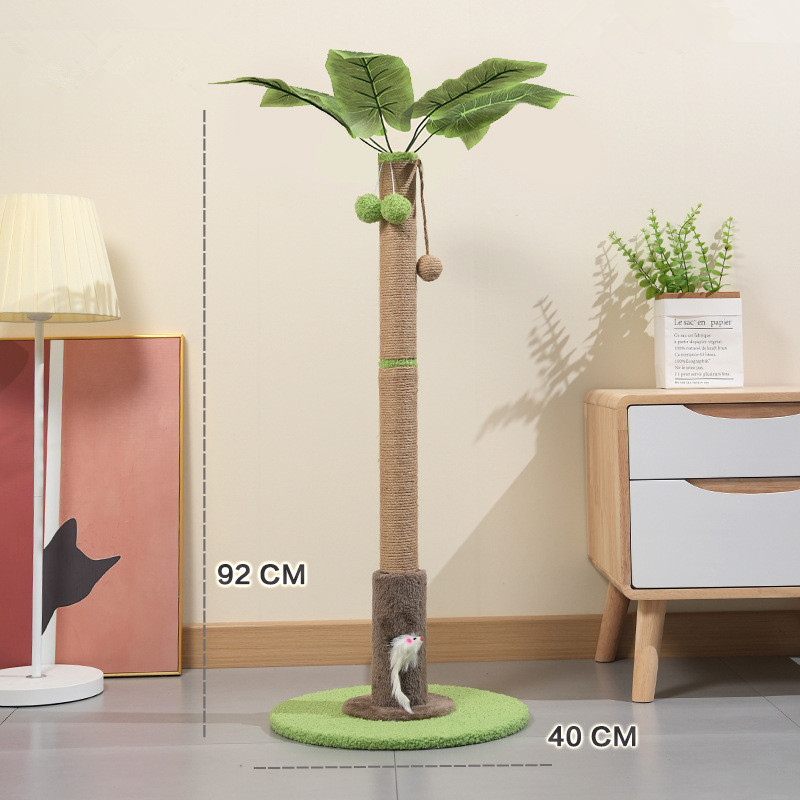 Palma abanico verde XL