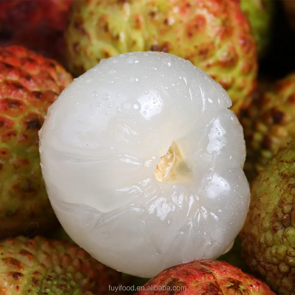 Fresh Lychee China Tropical Organic Fresh Litchi Fruit para exportación