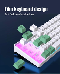 68-Key ABS Film Teclado para Laptop Confortável Digitação Streamer Interruptor de Luz Tipo C Conexão Uso Do Jogo Para Mac & Win