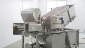 WA-1000 lift-loại Lê cà chua hạt tiêu Lettu làm sạch máy giặt máy thịt trái cây rau máy giặt - Product Image 4