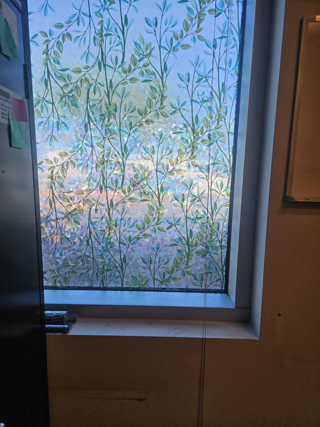 Crescent-shaped vine