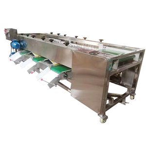 Máquina clasificadora de rodillos de frutas y verduras de raíz, máquina clasificadora de zanahorias y tomates, máquina clasificadora de pepino - Product Image 3