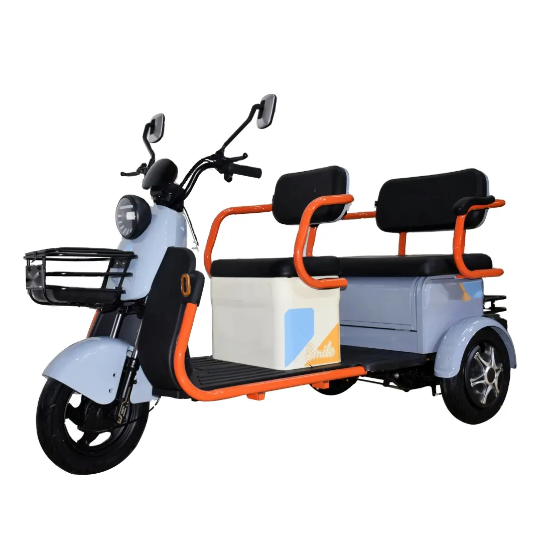 Nouvelle annonce Tricycle électrique adulte 600W Double siège trois roues moto pour passager et cargaison