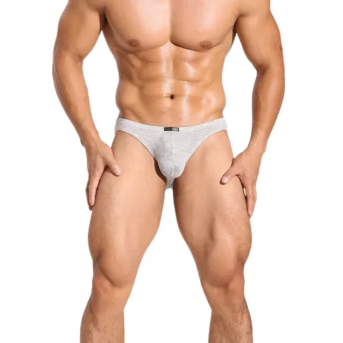 Ropa interior clásica para hombre, calzoncillos elásticos de cintura baja, Bikini