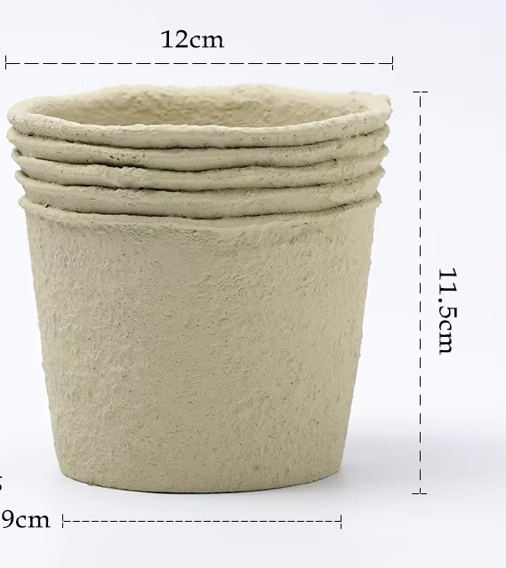 Paper Pulp, Off-White, Medium Size, 12cm
