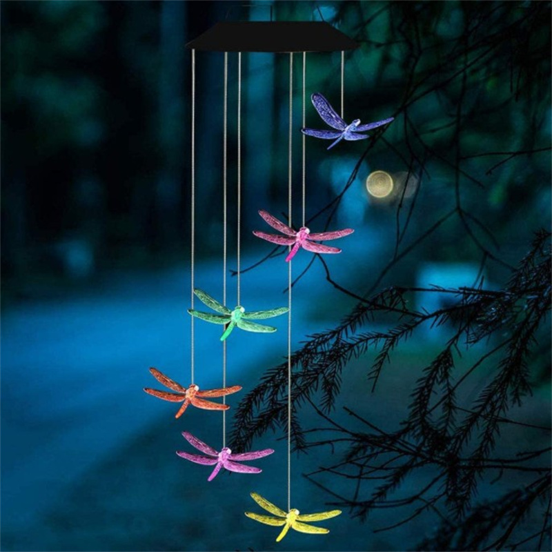 Dragonfly Light