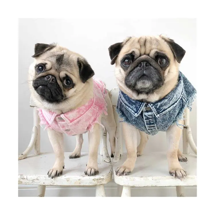 Commercio all'ingrosso di vendita calda rosa blu cane vestiti alla moda denim pet cappotto popolare canottiera giacca per bulldog francese
