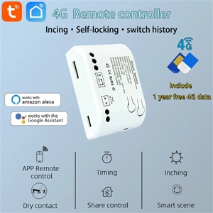 Tuya Smart 4Gスイッチ7-32VリモートコントロールGSMリレー4G Alexa互換性RF433MHzインチングリレー10A Max。 - Product Image 2