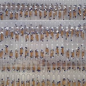 MICC a级B级PT100 PT1000温度传感器铂RTD元件 - Product Image 4