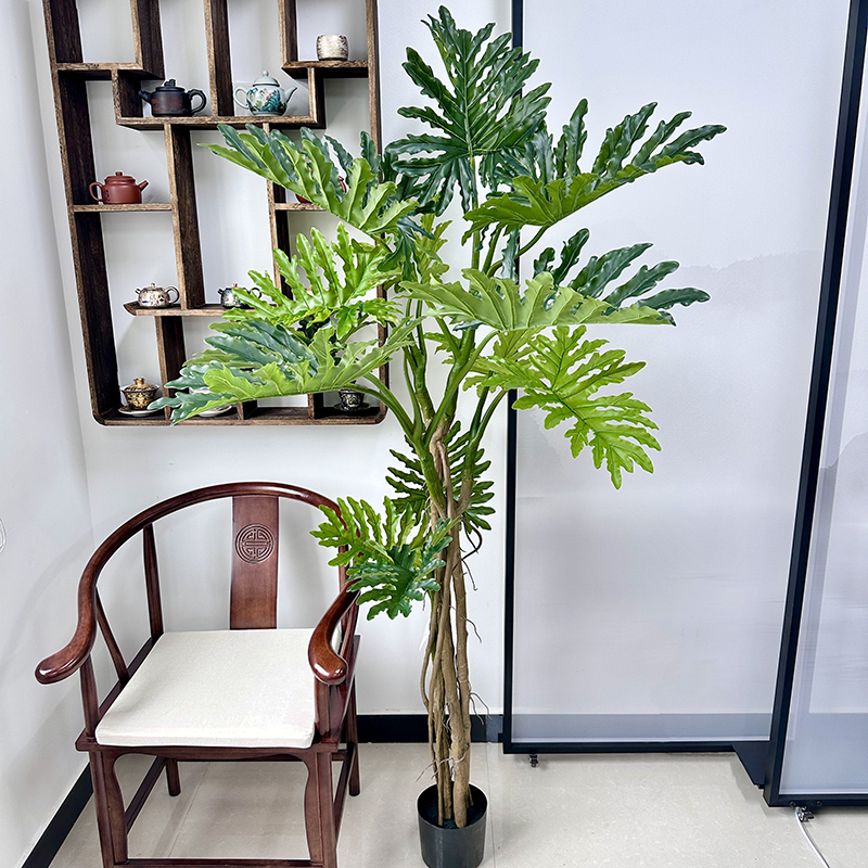 175cm CHUNYU Turtleback Hoja