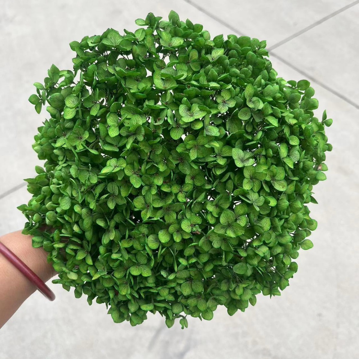 Verde hierba