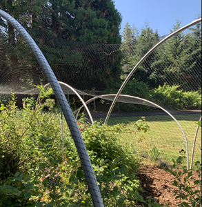 Anti Insect Netting Hdpe <strong>Bug</strong> Catching <strong>Net</strong> Uv Resistant Plastic Insect <strong>Proof</strong> 80 Mesh Anti Insect <strong>Nets</strong> for Orchard Vineyard - Product Image 2