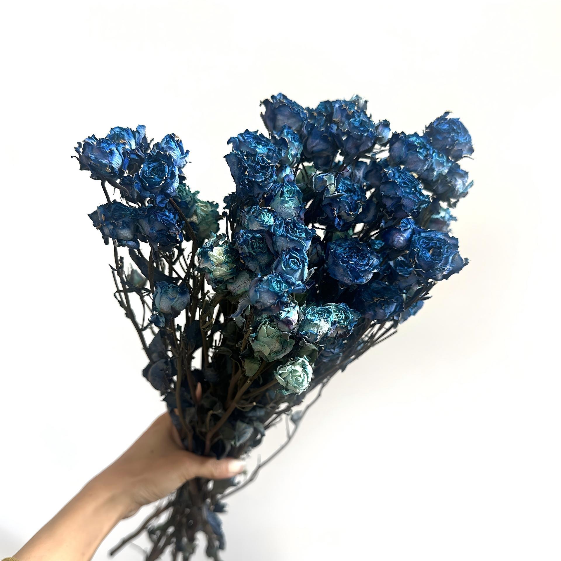 Bleu foncé