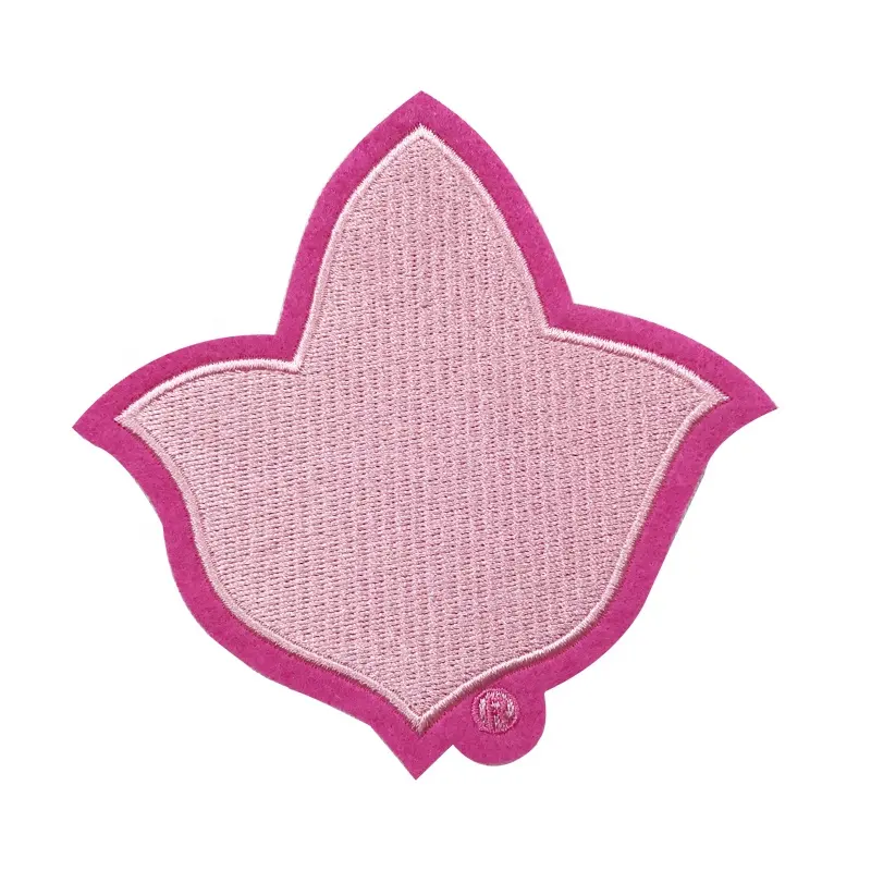 Toppe personalizzate cucire su ferro su toppa in ciniglia ricamo edera rosa e verde accessori fai da te per abbigliamento