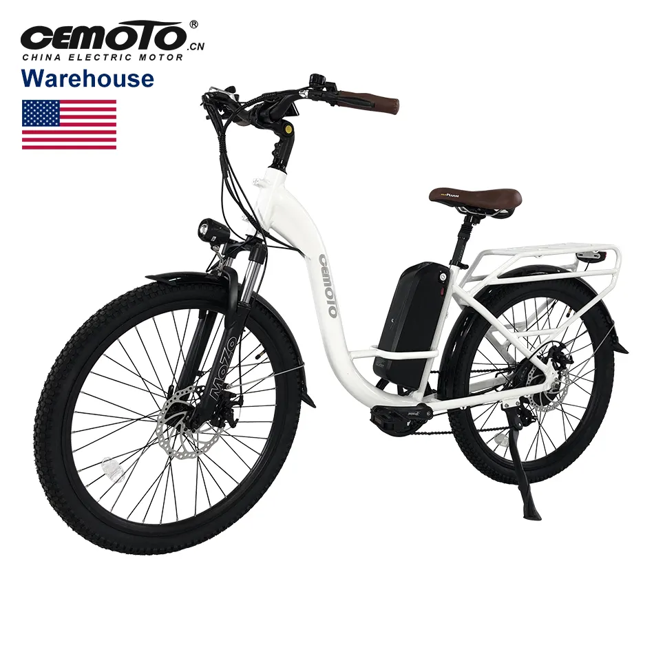 Vendita calda cina Cargo bici elettrica 7 velocità 48V batteria al litio 500W 750W 26 pollici strada città e-bike bicicletta elettrica per donna