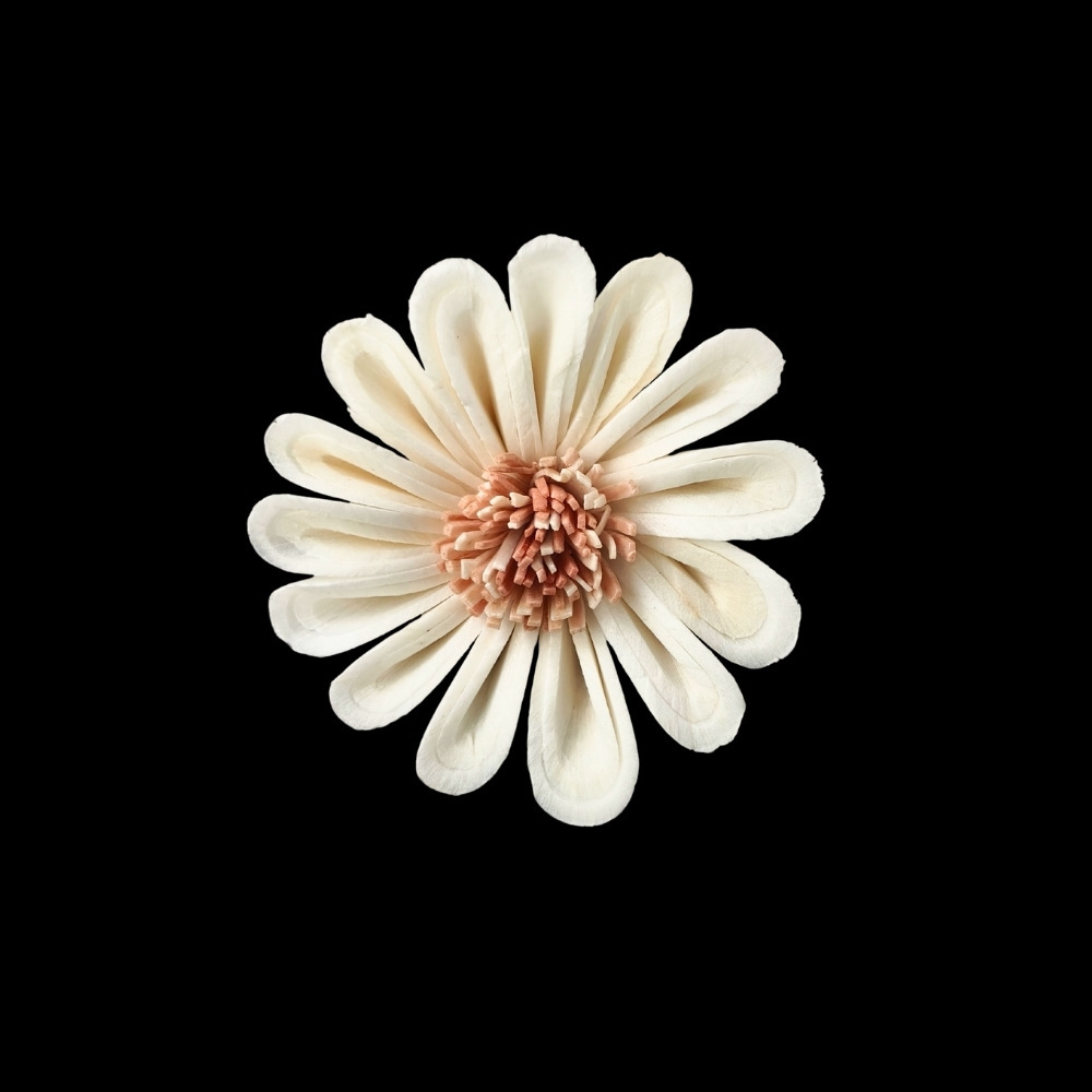 6cm daisy-s720a06n