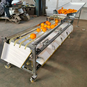 <strong>Classify</strong> Machine for Jujube Onion Peach Blueberry Professional Roller Brush Sorter Machine - Product Image 4