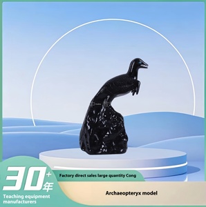 Archaeopteryx Fossil Display Model Herramienta educativa para lecciones escolares de Biología y Ciencia - Product Image 2