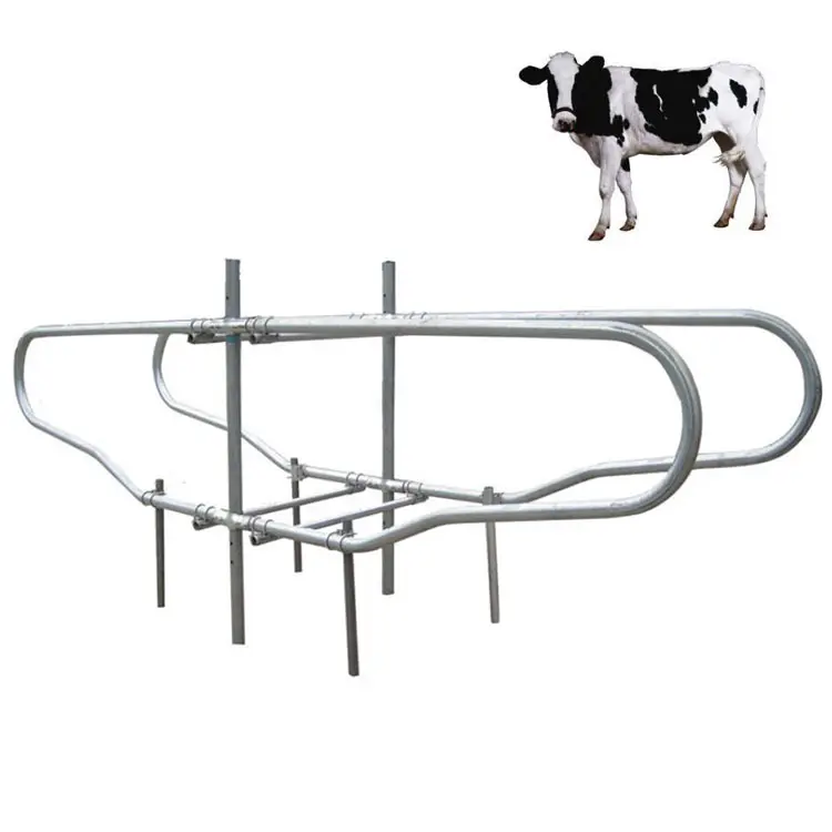 Portable Cow Cubicles Hot Dip Galvanized Cattle Livestock Divided Panels Durable Cow Free Stall For Dairy Farm