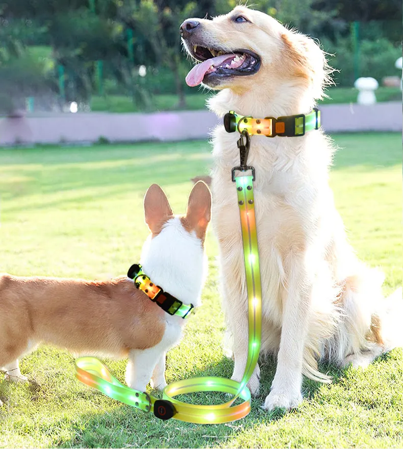Low Price Hot Led Light Pet Dog Collar Multicolor Battery Light Dog Collar Glow-In-The-Dark Pet Collar