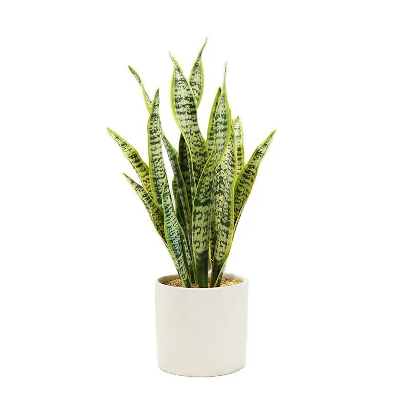 Planta de serpiente Artificial de alta calidad, suculenta de Cactus para oficina, plantas artificiales pequeñas de plástico, venta al por mayor