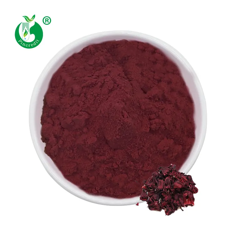 Yüksek kaliteli Hibiscus Sabdariffa çiçek özü 15% antosiyaninler/Hibiscus Sabdariffa bitki özü