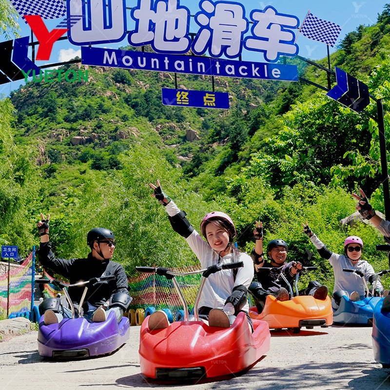 Luge Cart