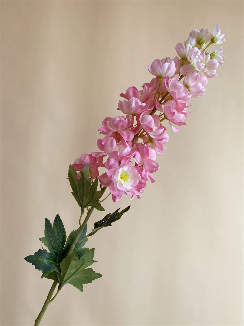 100cm rose