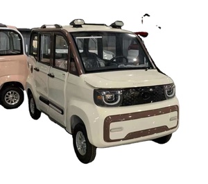 Yetişkin Mini dört tekerlekli elektrikli araç EEC sertifikalı küçük elektrikli yeni enerji araçları - Product Image 1