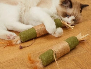 Natural Pet Cat Mastigar Varas com Catnip Estilo Clássico Gatinho Brinquedos