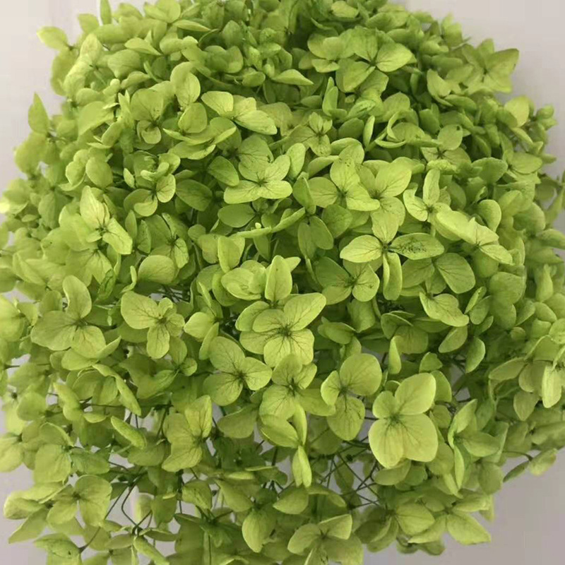 Verde hierba