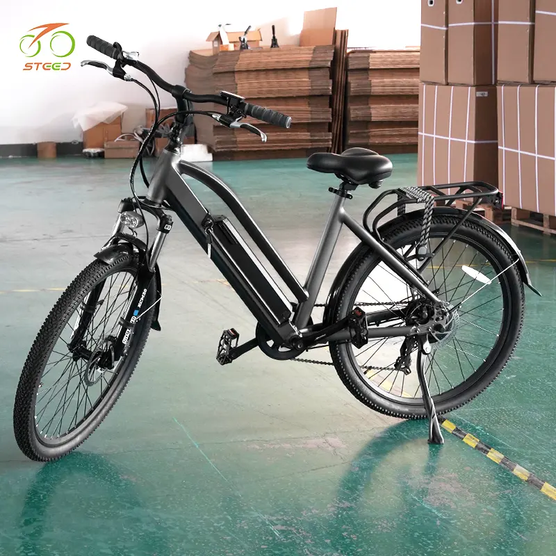 Destriero 250w elettrico city bike bicicletta elettrica ebike con portapacchi posteriore batteria elettrica sport bici