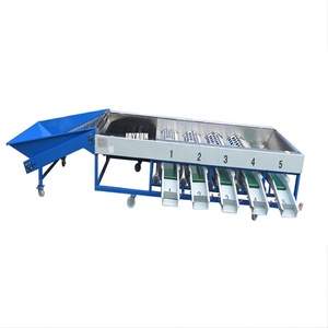 Clasificador automático de frutas y verduras, máquina clasificadora de línea de clasificación - Product Image 5
