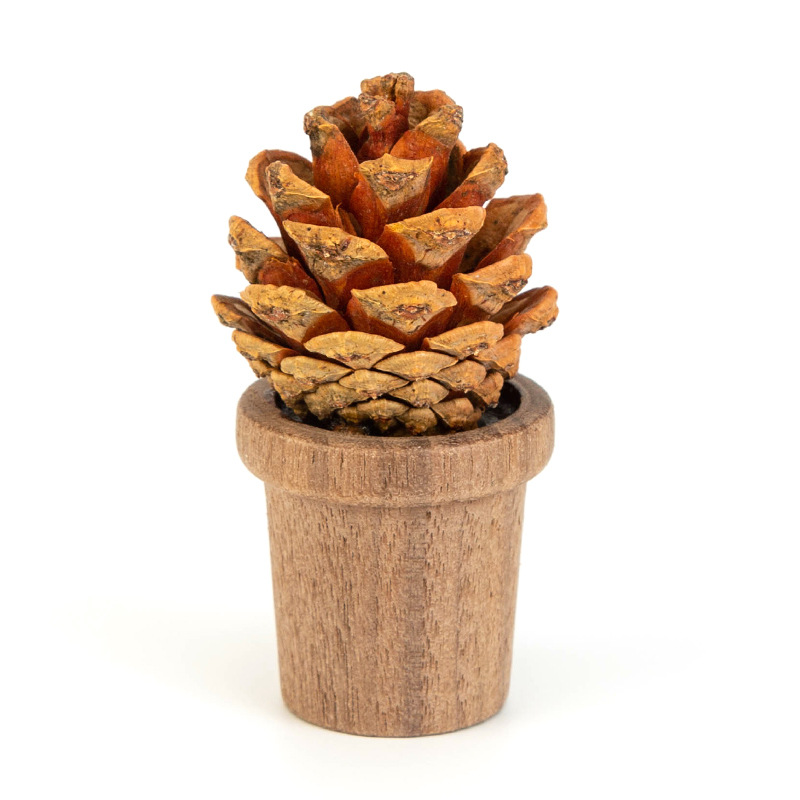 Pinecone