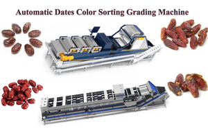 Factory Price Winter Jujube Dates Red Palm Dates Grading Machine Grape Fruit Size <strong>Classifier</strong> Sorting Machine - Product Image 5